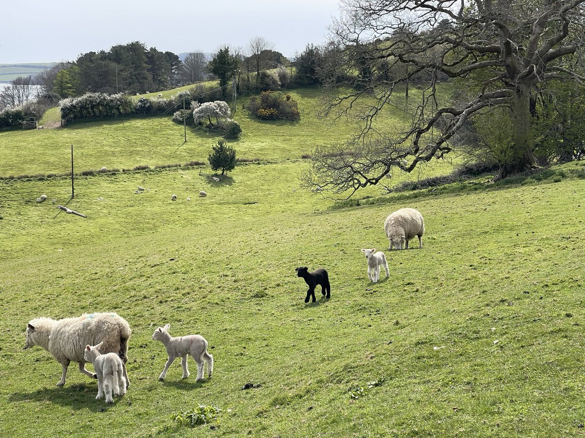 Devon CoWorking tweet media