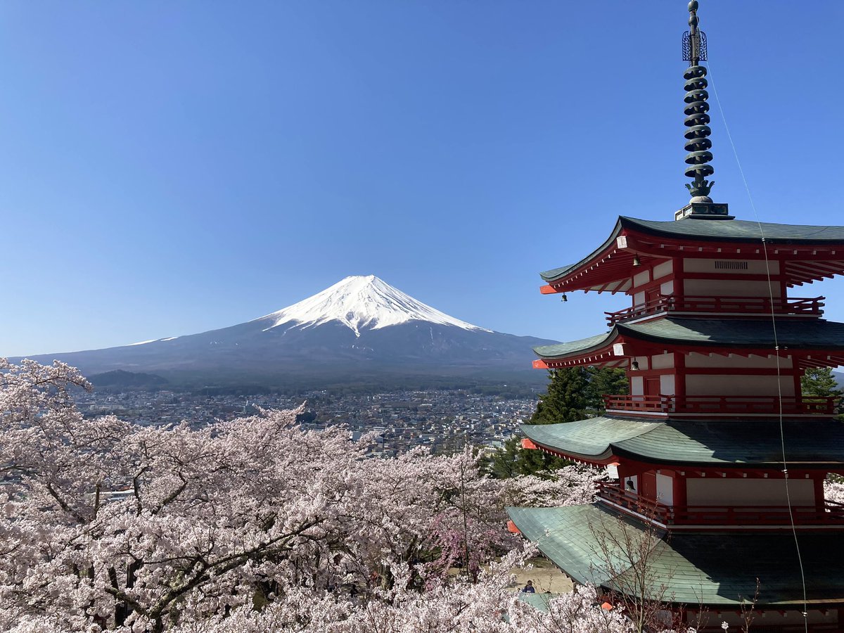 今日の富士吉田・新倉山浅間神社。
桜🌸満開で、どこを切っても絵になる素晴らしさ。早起きして行ってよかった。