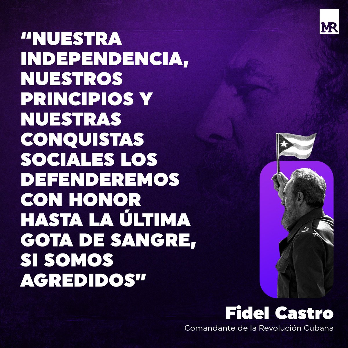 MANIFIESTO REVOLUCIONARIO tweet media