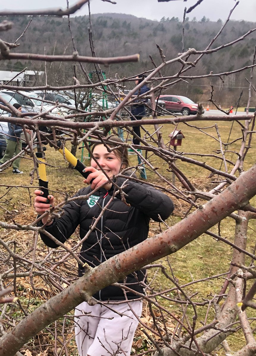 SMSRaidersVT's tweet photo. Nothing says Springtime like pruning trees! SMS garden club is hard at work pruning the apple trees. One of our core principles is a willingness to grow. You have to be willing to cut away the old to allow room for new growth! #smsvt #lsuuvt #willingnesstogrow https://t.co/vTYG67sL5o