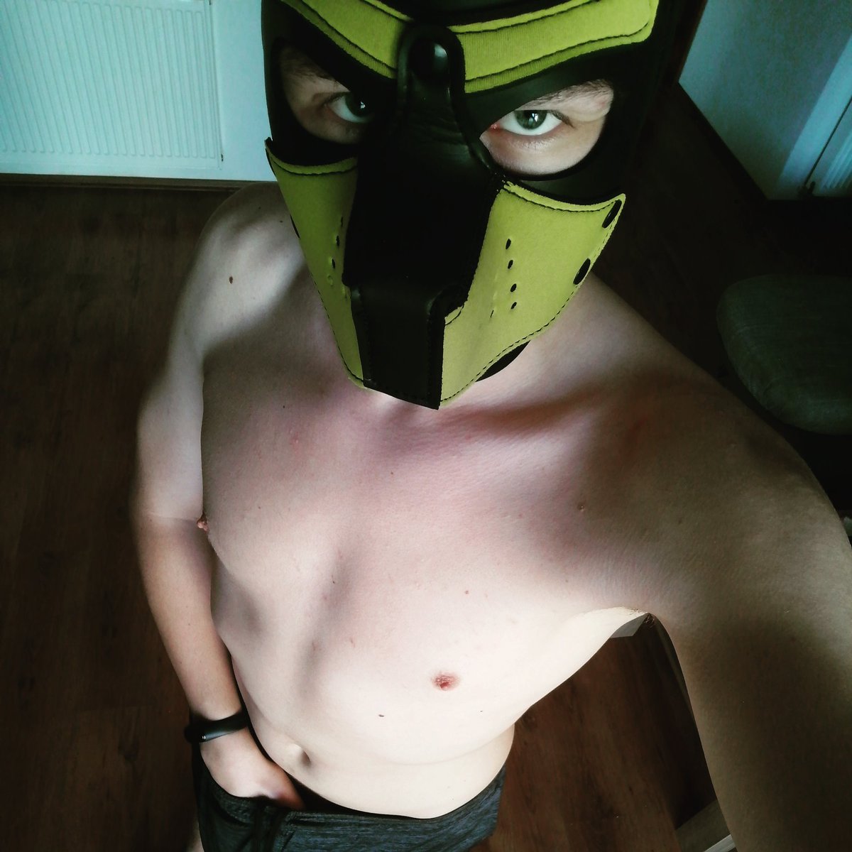 pup_devon's tweet photo. #gay #gayboy #instagay #lgbt #bisexual
#gaynurse #gaylife #gaymer #instagayboy #instagayguy #homogram #gaysingle #singlegay #shirtlessguys #gayguys #badguy #gayfit #gayfollow #musclegay #boyfriends #gayworld #gaypuppy #puphood #humanpuppy #pupplay #gaypride #gaypic https://t.co/Tsn2VOvpny