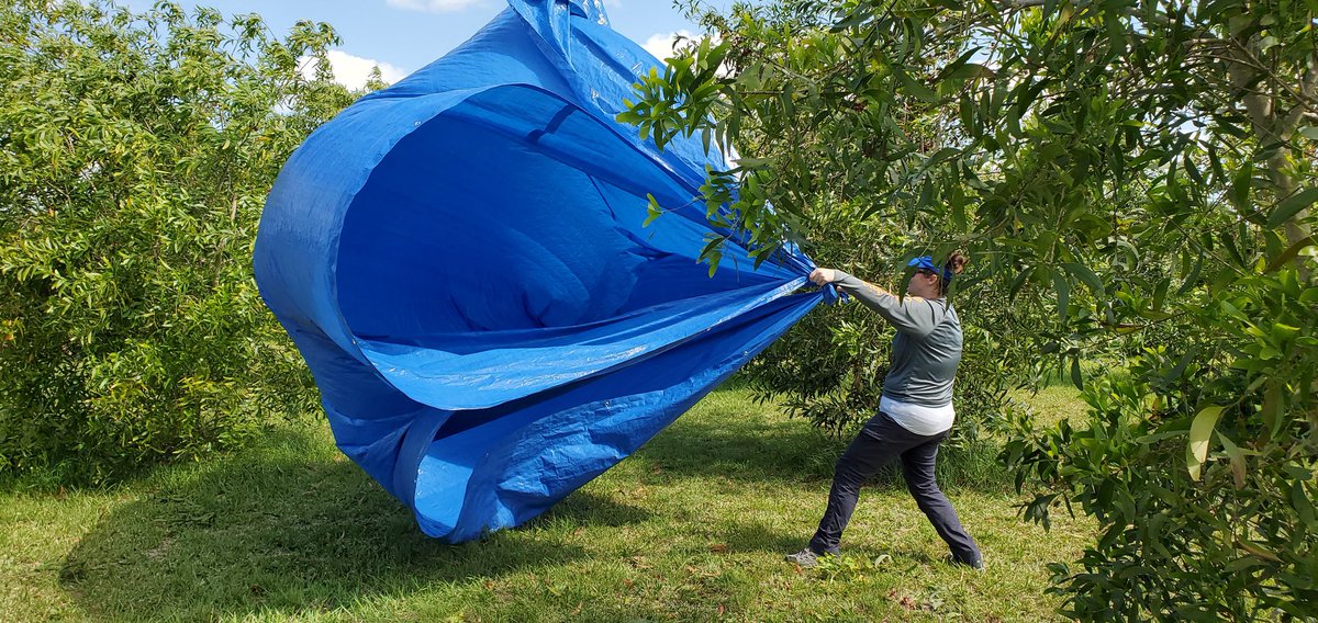 Dr. Kelly Carruthers tweet media