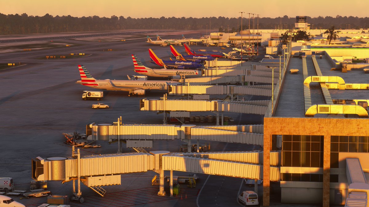 Macco Simulations tweet media