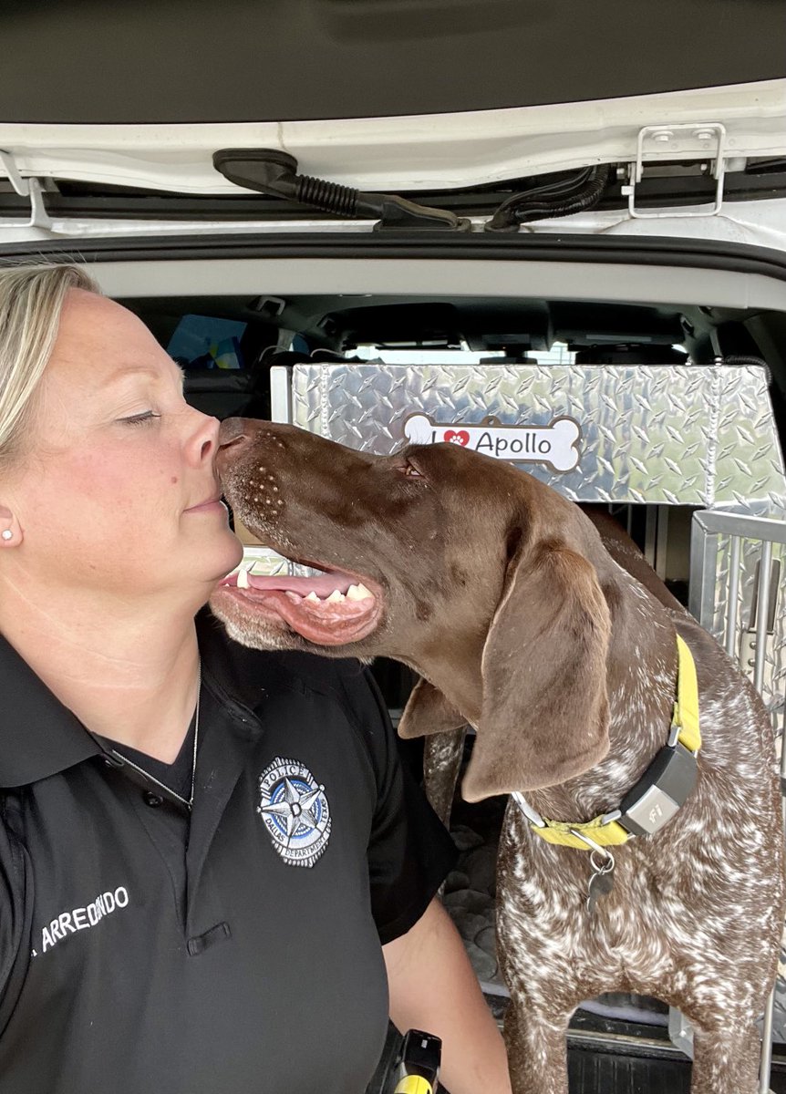 Must breathe directly in ⁦@AngelaNordyke⁩ face & give her Eskimo kisses! 🐾 #gsp #k9 #k9team #k9cop #apollo #bombdog #gspsoftwitter #policek9