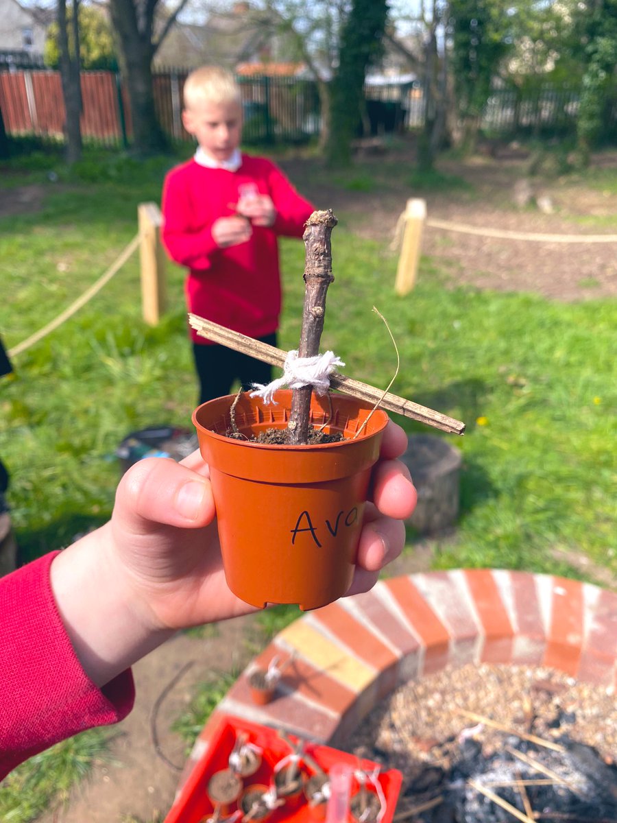 MrsP_OLOS's tweet photo. Sycamore Class have been enjoying a range of special Holy Week activities and reflections. What does it mean to us, and how would Jesus have felt? We have created our own Easter Gardens ready for this weekend too!🪴#HolyWeek2022 #RememberMe @olos_armthorpe https://t.co/3enGh6ekvT
