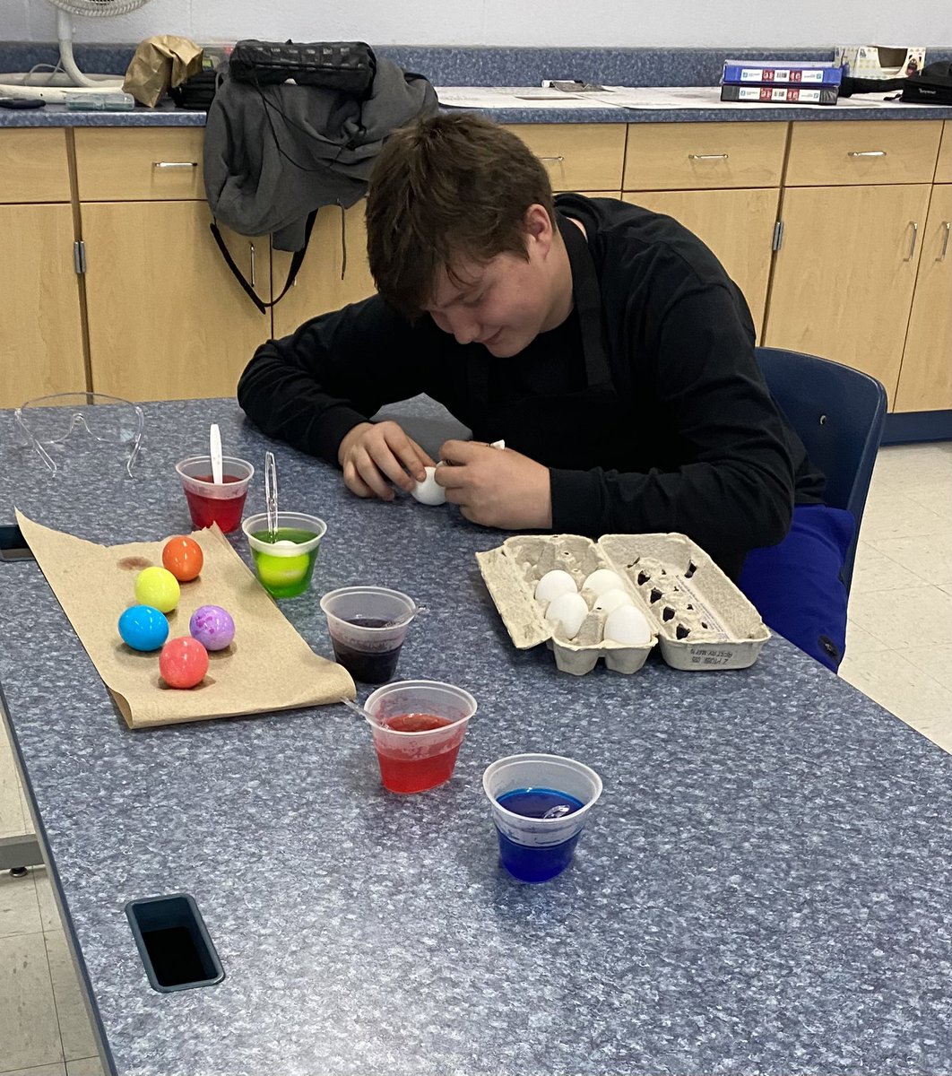 SStillionCCSD's tweet photo. It’s egg-periment day! We’ve tested our hypothesis, and proved that warmed water does produce more vibrant eggs!  🥚🥚 https://t.co/s6F0jIl3tj