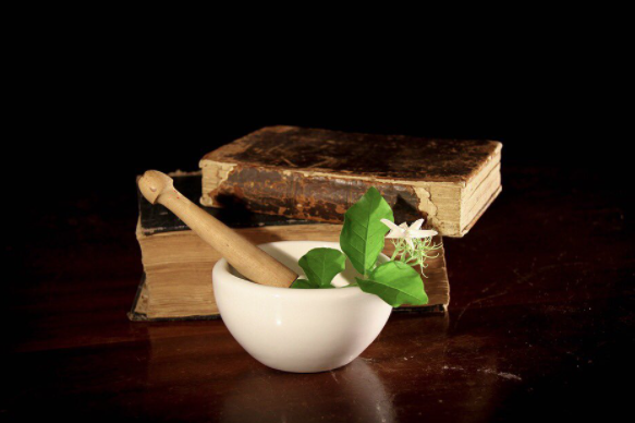 Learn more about the regulated license application, sales, manufacturing, distribution of natural health products in Canada:

laws-lois.justice.gc.ca/eng/regulation…
#JNHPR #naturalhealthproduct