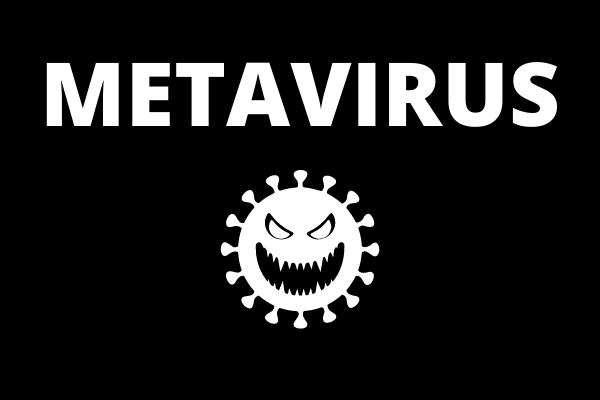 metavirus tweet media