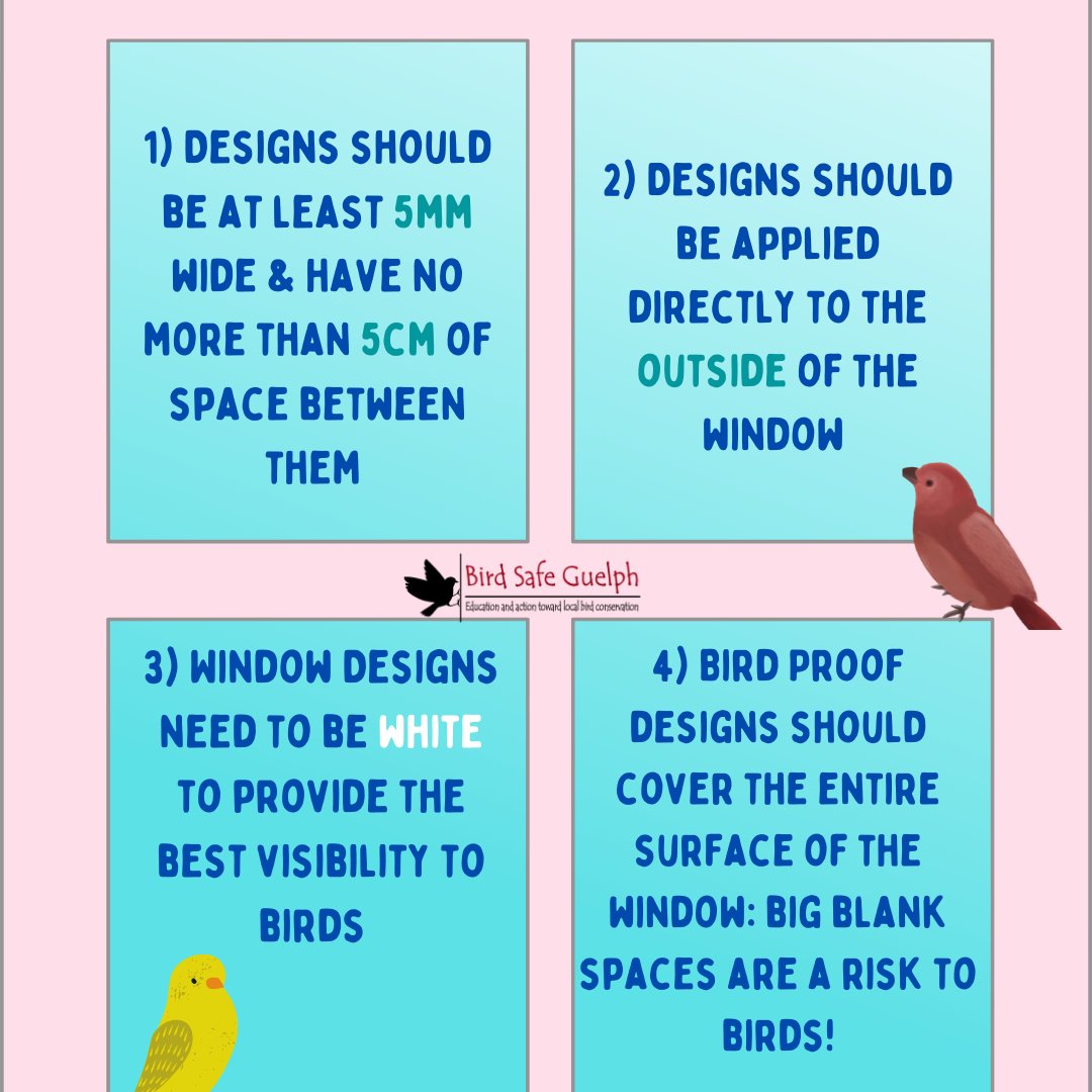 #Guelphelementaryteachers join us for our annual window competition! Help save the birds and win a pizza party.
docs.google.com/forms/d/e/1FAI…
