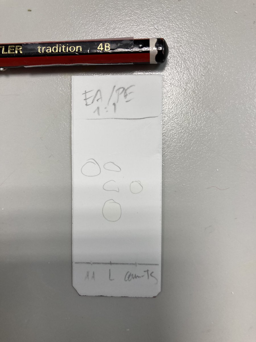 MartaPrezLlore1's tweet photo. Don’t scratch your TLCs, use a soft pencil (2B or higher)
#labtipsandtricks https://t.co/F7pyMOfQZQ
