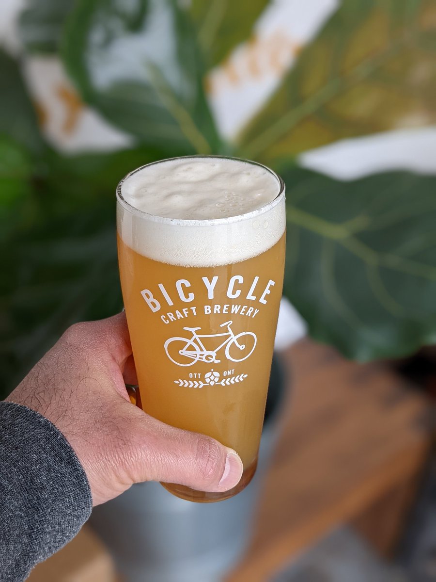 Happy Tuesday!

We got so excited after the release of Twice As Bright DIPA 😋 👆that we decided to brew Velociraptor DIPA today! Stay tuned for the release of this beast in a couple of weeks👊

Keep an eye out for the return of  Freak Went The Doggie IPA in the shop this week🍻