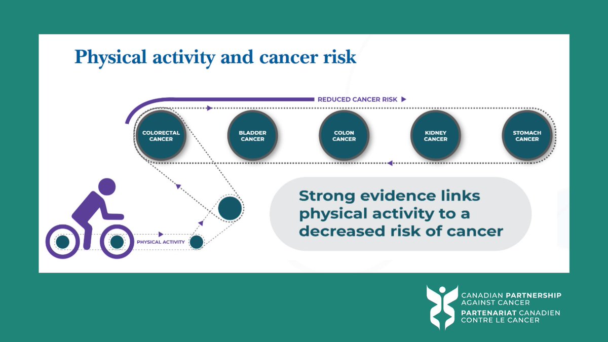 Physical inactivity is the second most common cancer risk factor, contributing to ~5% of all cancer cases in #Canada—following physical activity guidelines could reduce cancer risk by 10-25%. 

#prevention #CDNHealth #DYK