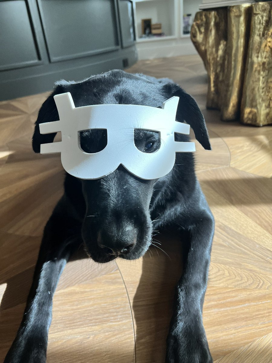 Kelly Estes tweet media