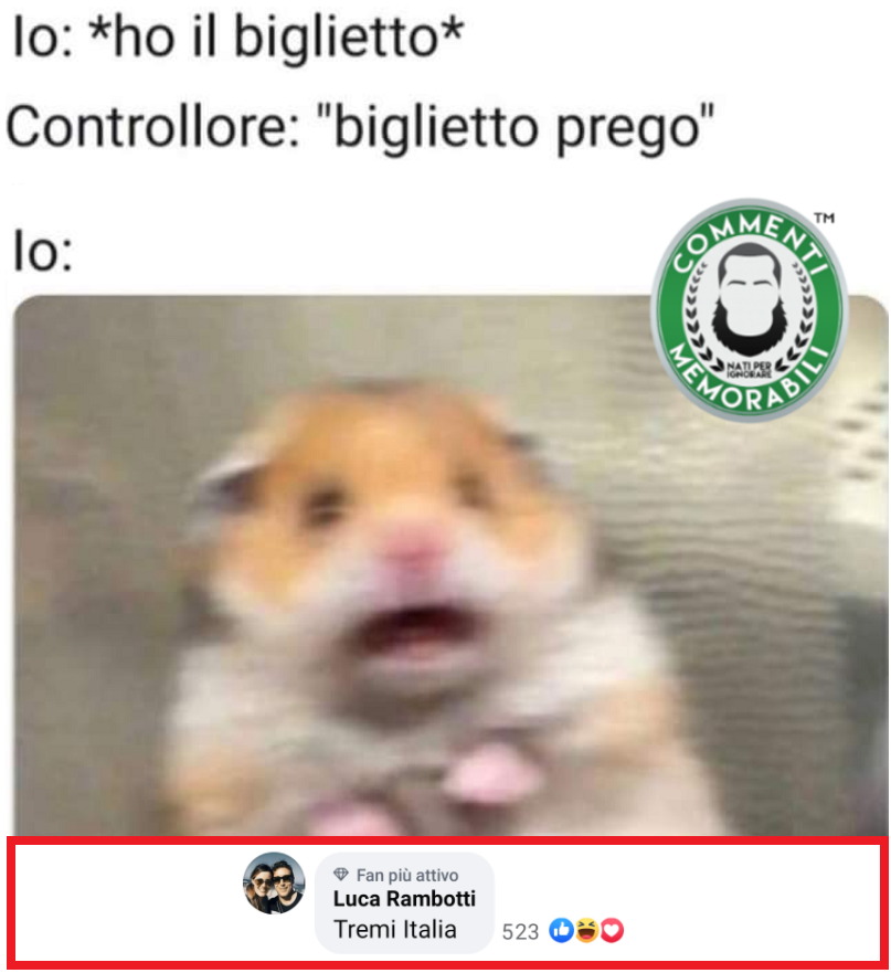CM_Memorabili's tweet photo. Ammettetelo, come quando uscite dal supermercato senza aver fatto acquisti. #commentimemorabili #biglietto #treno #controllore #paura https://t.co/ZCtoBrh2uA