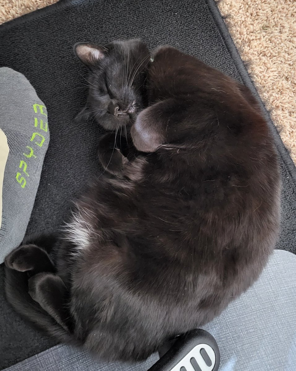 MFollettCS's tweet photo. She's not worried about inflation... https://t.co/dDn8whrw7P