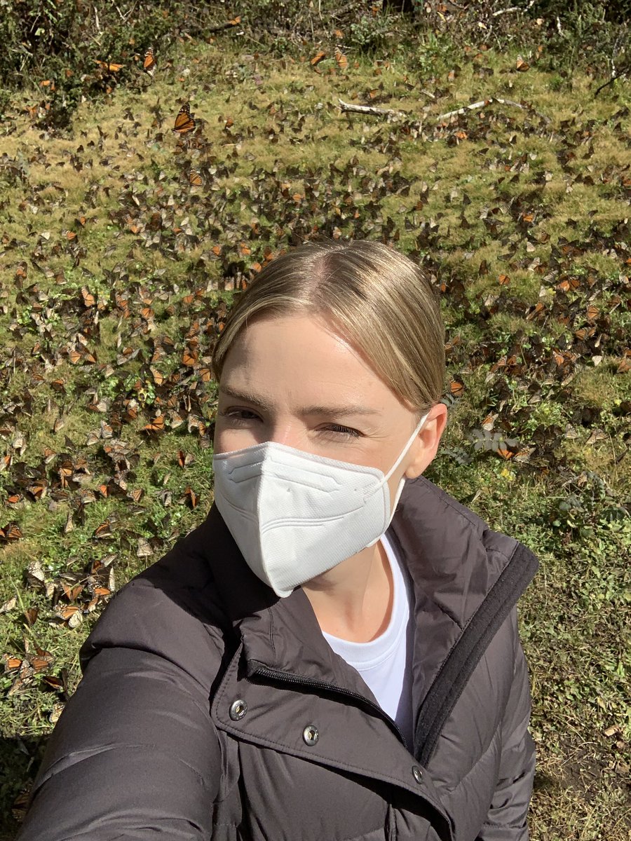 callirachel's tweet photo. I personally witnessed the #butterflyforest reduce grown men to tears. (That’s our fixer on the ground embracing the butterfly cloud with glee even though he’s a v experienced journalist who’s used to filming in narco drug labs). #DatelineSBS @SBS #ButterfliesvCartels https://t.co/VCt94eSQNr