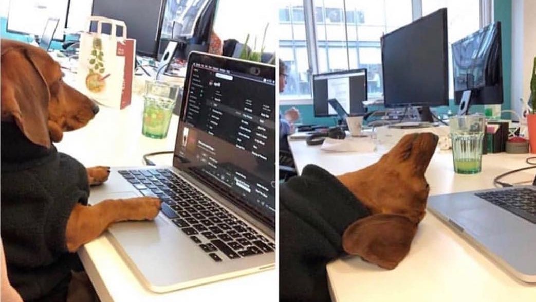 BenchWarmer_fc's tweet photo. @Berti_and_Ernie Me after the smallest inconvenience. https://t.co/q11evjNDQS