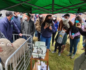 🐄🌿🌾🐏INIA Kampenaike 🐄🌿🌾🐏| Destacan el interés de las personas por conocer sobre ciencia y tecnología aplicada al campo - mailchi.mp/559a77a2e848/i…
