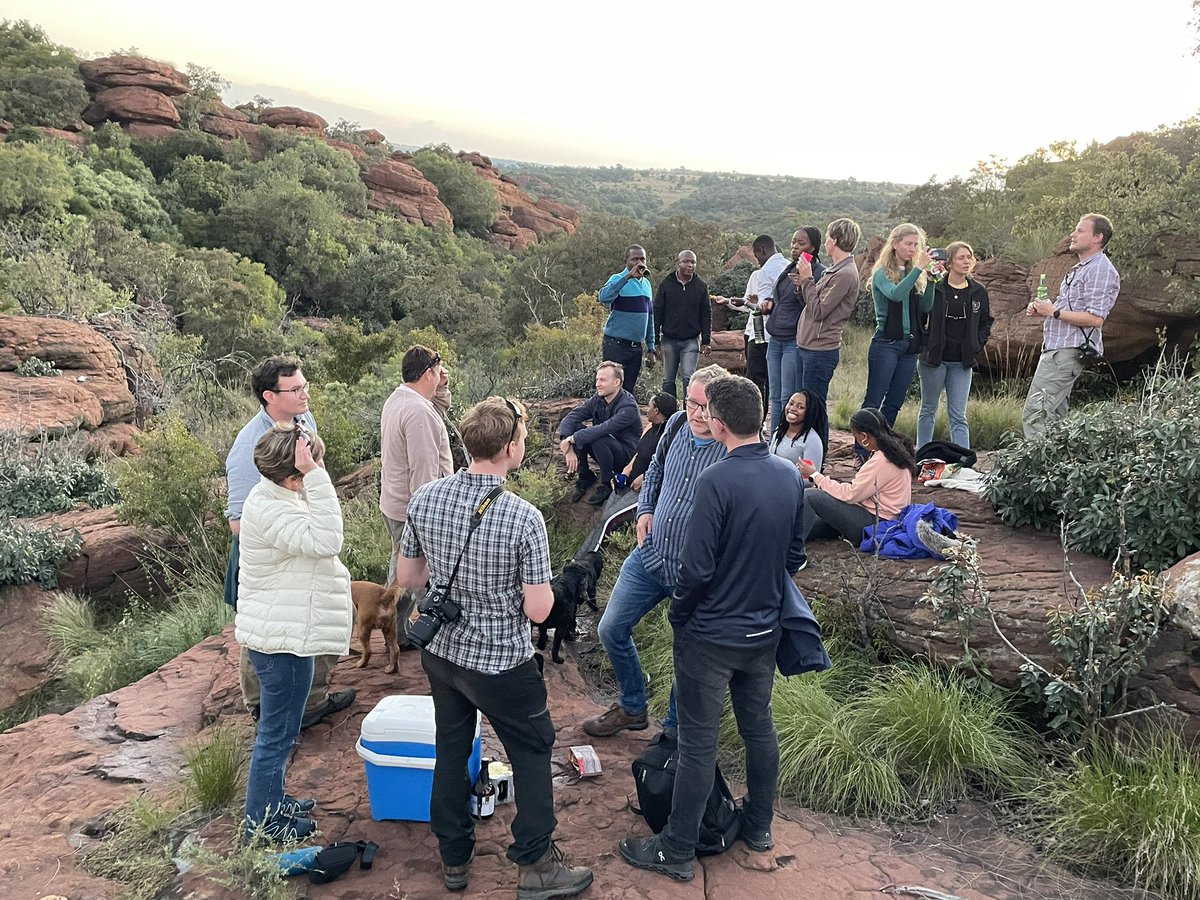 FutureEcoAfrica tweet media