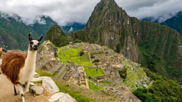 Peru declares tourism emergency over Covid

Read More: https://t.co/3Jsy7o780a https://t.co/o8viKBUhBT