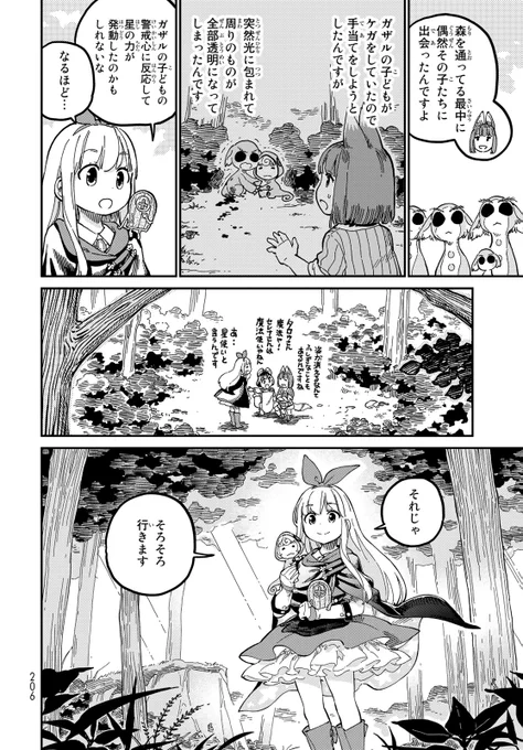 (11) 