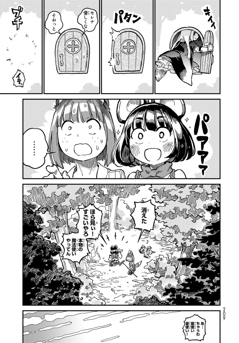 (11) 