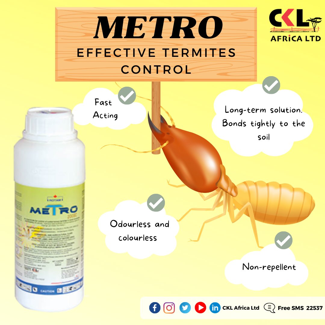 CKLAfricaltd's tweet photo. Termites are one of nature’s most destructive creatures. While the insects are small, their large colonies have the power to wreak extensive &amp; expensive damage. METRO offers a quick, long-term &amp; complete solution to termite infestation. Click to read more https://t.co/pKbVHoRGse https://t.co/705rY2NVgL