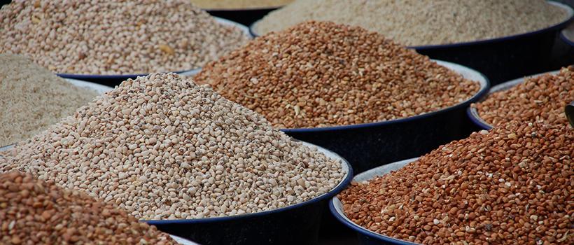 IITA_CGIAR's tweet photo. IITA breeders to develop cowpea varieties with enhanced productivity through modern breeding approaches

https://t.co/F5QUkvvhKb https://t.co/DsXFDyLkLk