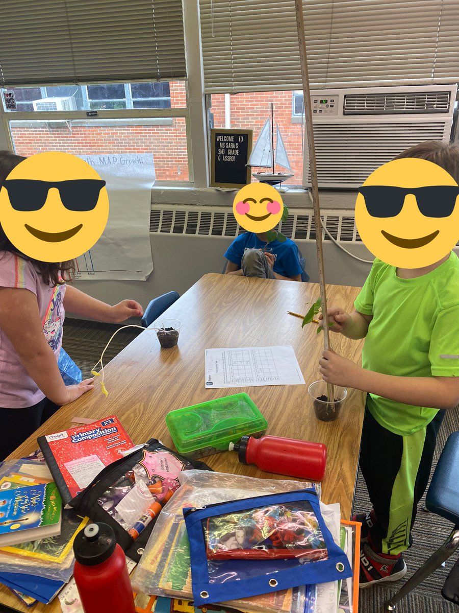 sarabeth836's tweet photo. Measuring our plant growth in second grade. We are testing to see if the amount of sunlight that the plants have an effect on how much they grow! These cougars love science!! @PawsforCougars #LearnersTodayLeadersTomorrow #cantspellsuccesswithoutCES https://t.co/wpwEmgFUIO
