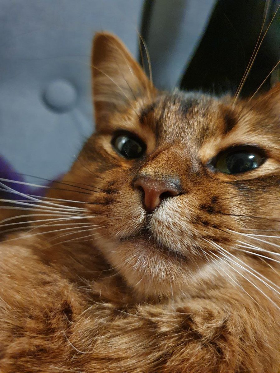 Emma Skarstein tweet media