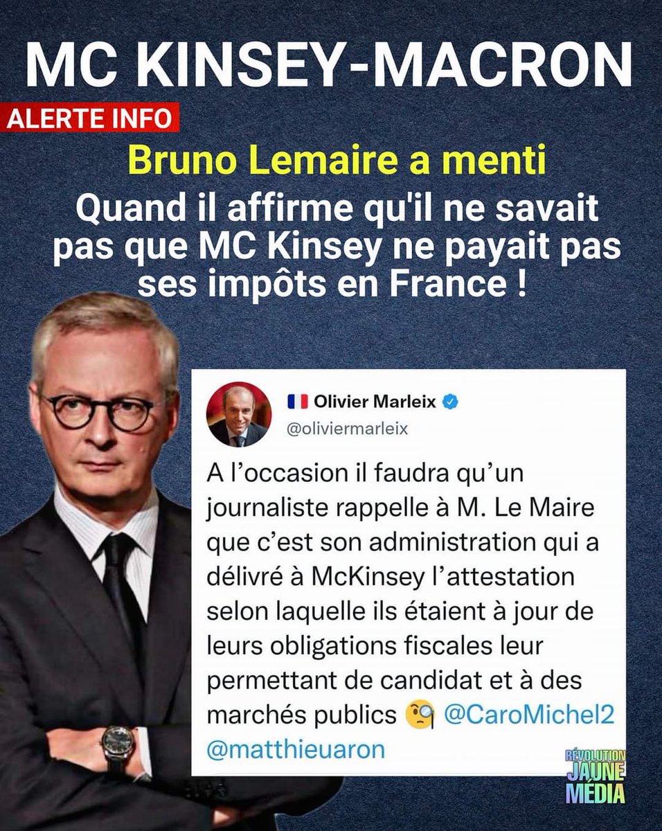 Camille DESMOULINS -INFO DES JAUNES et du PEUPLE tweet media