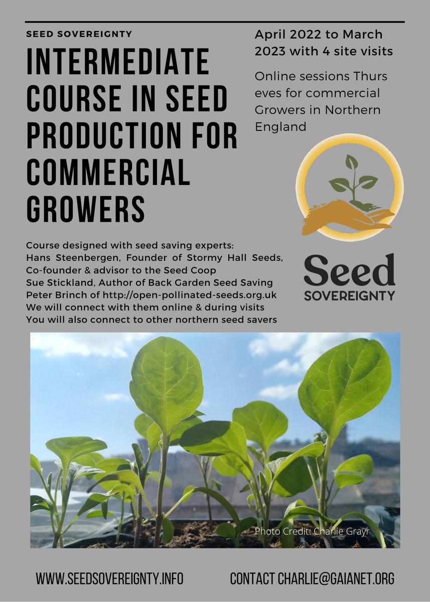 NorthernSeedSov's tweet photo. Updated flyer: apologies there were a couple errors: We will meet on Sat 21st May and Thurs 15th Dec! Still places available. It's gonna be epic. Seeds are hot and you will be ahead of the curve! 
Please apply soon... https://t.co/ZWLfOQihBd https://t.co/grqupIlpqU