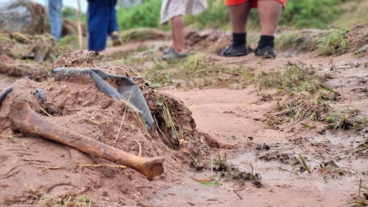 Man’s NOT Barry Roux tweet media