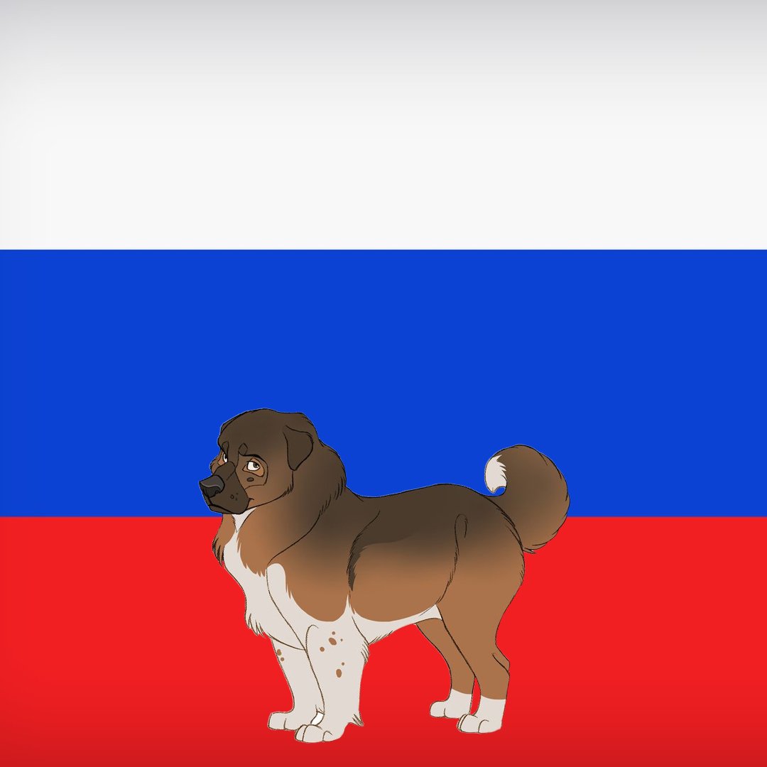 cryptodognation tweet media