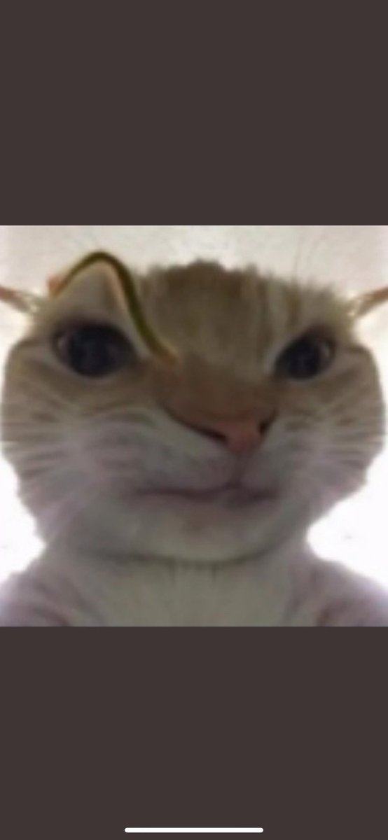 preembot's tweet photo. @SondergaardLol https://t.co/nTZXr01M7z