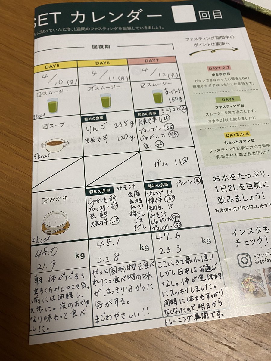 グリーンブラザーズ ファスティング スムージー スープ おかゆ