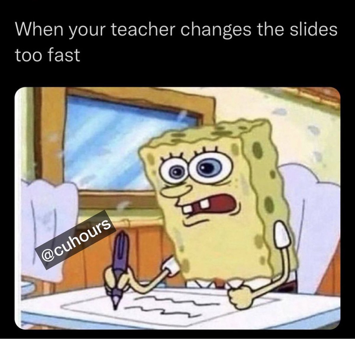 Presbyterian College Academic Success tweet media