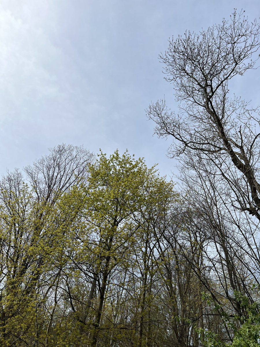 cdehw's tweet photo. #nofilter #instatree https://t.co/a3lenZ8nwB