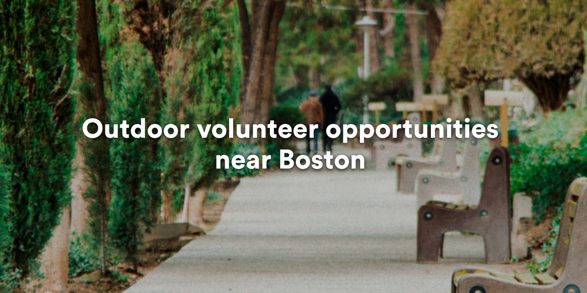 bualumni's tweet photo. Calling all Boston-area alumni: Reconnect with nature and build community with these #BUDaysofService volunteer opportunities ➡️ https://t.co/iR5JoxXkI5 https://t.co/XQROK3Xnba