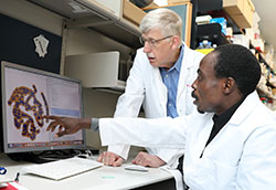 AASciences's tweet photo. Dr Idowu Aimola is an #APTI Fellow and molecular #biologist from #Nigeria working on characterizing red blood cells in individuals with Sickle Cell Disease #SCD.
Read about it here 👉 https://t.co/MUjvnQCAOJ
#ScienceLeadership #PromotingSTEM  
@Fogarty_NIH @gatesfoundation https://t.co/pK4O2UEFP2