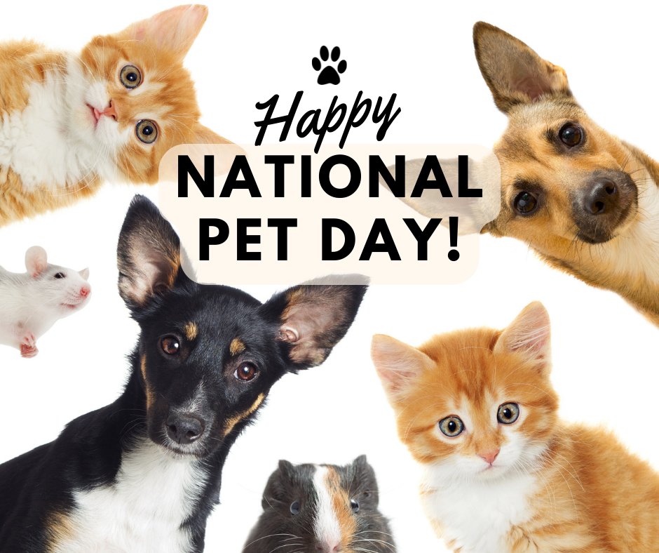 AsapChecks's tweet photo. Happy National Pet Day! This day reminds us to spoil our furry babies more.  We feature adorable pets designs checks that you can order: https://t.co/2oY614kVpX. In every purchase, you can help support ASPCA in its mission to save animal lives. #nationalpetday #petowners #petday https://t.co/eeo4WjM8pp