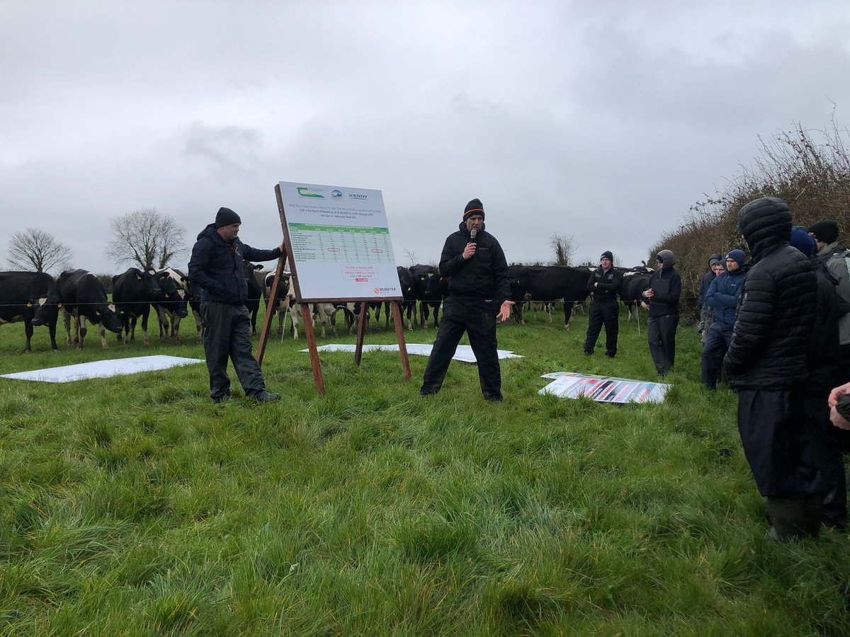 MunsterBovine's tweet photo. Some really good crowds despite the rain ☔️ listening to the @munsterbovine team &amp; all at the @TeagascKyLk Signpost farm walk at Kieran, Declan &amp; Eileen Murphy's Farm, Effin, Co Limerick🐄@TeagascSignpost @TeagascGrass10 #Breeding22 #SuperiorGenetics #Dairy https://t.co/7RxgUxQ4WU