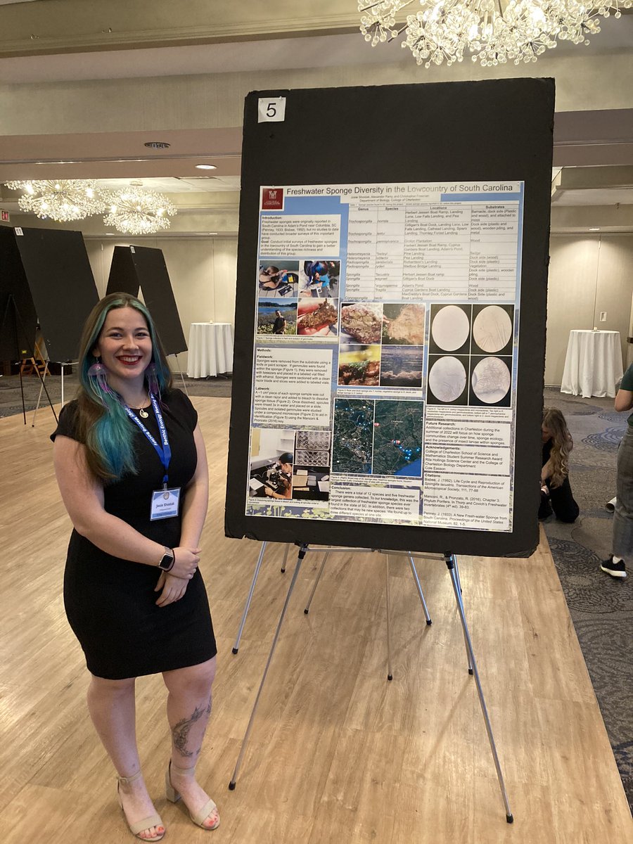 thatsasponge's tweet photo. It has been a great couple weeks in the Freeman lab. We had three student poster presentations @BenthicEcology meeting in NH and then undergraduate students Kate Davis and Josie Shostak won awards for their #sponge research at the Expo @CofC. https://t.co/XyM981fL32