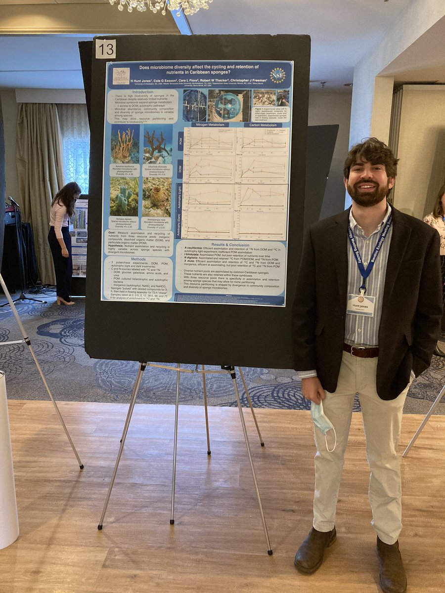 thatsasponge's tweet photo. It has been a great couple weeks in the Freeman lab. We had three student poster presentations @BenthicEcology meeting in NH and then undergraduate students Kate Davis and Josie Shostak won awards for their #sponge research at the Expo @CofC. https://t.co/XyM981fL32