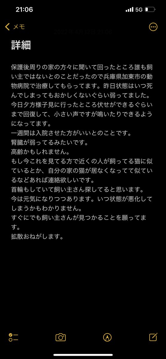 xjr_chevrolet's tweet photo. 拡散希望本当にお願いします。
4/11午後7時ごろ兵庫県加西市王子町で道の真ん中で這いつくばって動けなくなってたので保護しました。
近くの家の方々には飼い主ではないか確認しましたが違いました。
虫除けの首輪、緑の迷彩柄の首輪、去勢済みの猫ちゃんです。
詳細はメモに書いときます https://t.co/vkdOQcwGmh