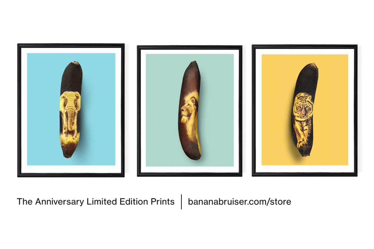 Anna Chojnicka tweet media