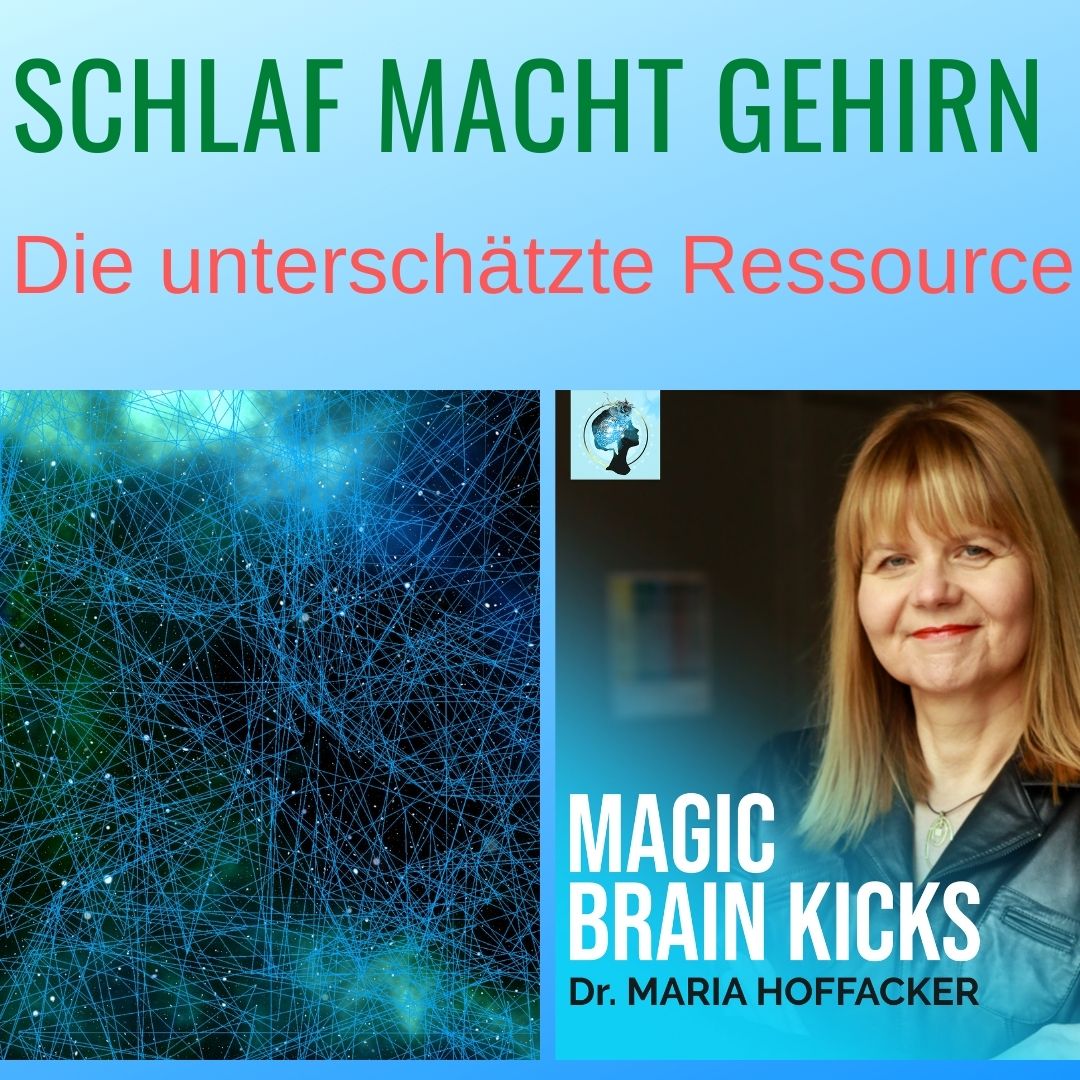 DrHoffacker's tweet photo. #schlaf #Ressource #Gehirn #schlafen #Schlafenkönnen #ausgeschlafen #fitness #erfolgreich #schlaf #neuroscience #gehinr #brain #magicbrainkicks
https://t.co/h3poiHdIW6 https://t.co/klOuTQ4EsL