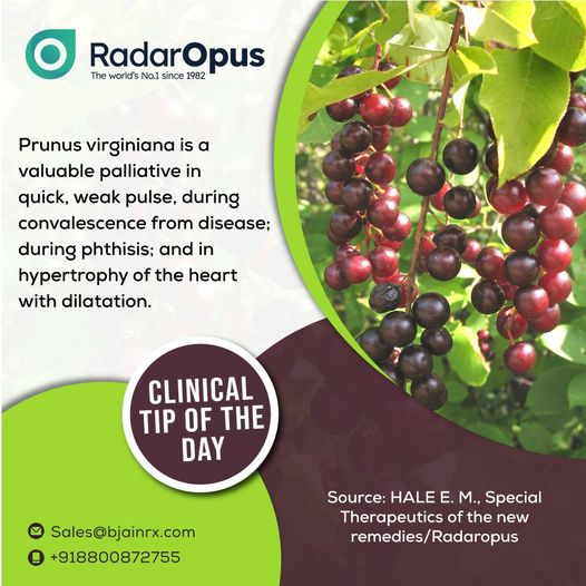 bjainrx's tweet photo. #ClinicalTip of the Day
. 
.
.
#education #homeopathy #homeopathyheals #homeopathyworks #tuesday #honeopathytips #didyouknow  #radaropus   #bjainrx https://t.co/NzALc8juRo