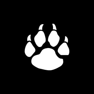 🎁Hungry Lioness Giveaway 🎁

🏆 2 winners 10XRP each 🏆

🦁Like &amp; RT
🦁Tag 5 friends 
🦁Follow and retweet the pinned post of  @hungrylions2 (shoow proof)✅

A Collection of 2000 Hungry Lioness NFTs🦁

⏰48hrs #TWITTERPICKER 
#xrp #XRPLcommunity #Giveaways