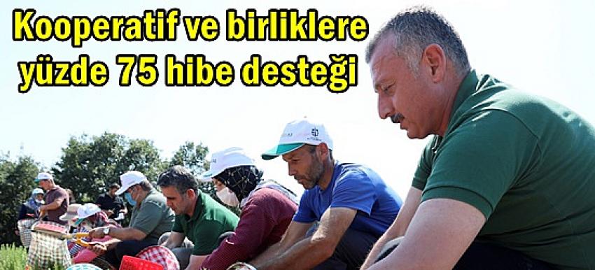 Kooperatif ve birliklere yüzde 75 hibe desteği mansetmarmara.com/haber-kooperat… <a href="/tahirbuyukakin/">Tahir Büyükakın</a>
